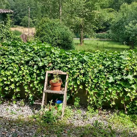Dom wakacyjny Vakantiehuis In Pussemange